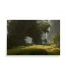 02 MYSTIC NATURE Poster
