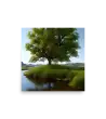 06 MYSTIC NATURE QUAD - Poster