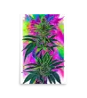 14 CANNABIS WATER COLOR - Poster