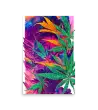 12 CANNABIS WATER COLOR - Poster