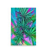 13 CANNABIS WATER COLOR - Poster