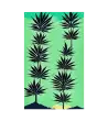 29 JAPAN HEMP - Flag