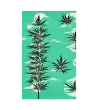 21 JAPAN HEMP - Flag