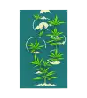 17 JAPAN HEMP - Flag