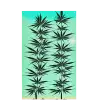11 JAPAN HEMP - Flag