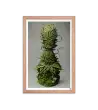 05 ROOT STATUE - Framed Poster