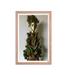02 ROOT STATUE - Framed Poster
