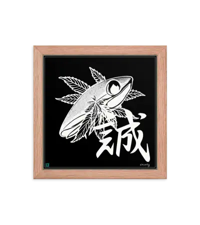 09 MONO FISH - Frame
