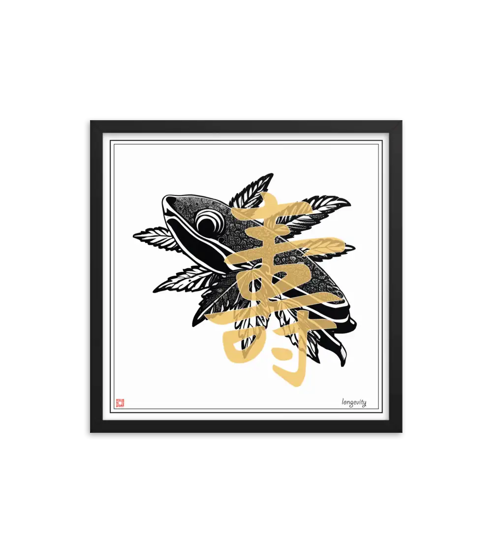 07 MONO FISH - Frame