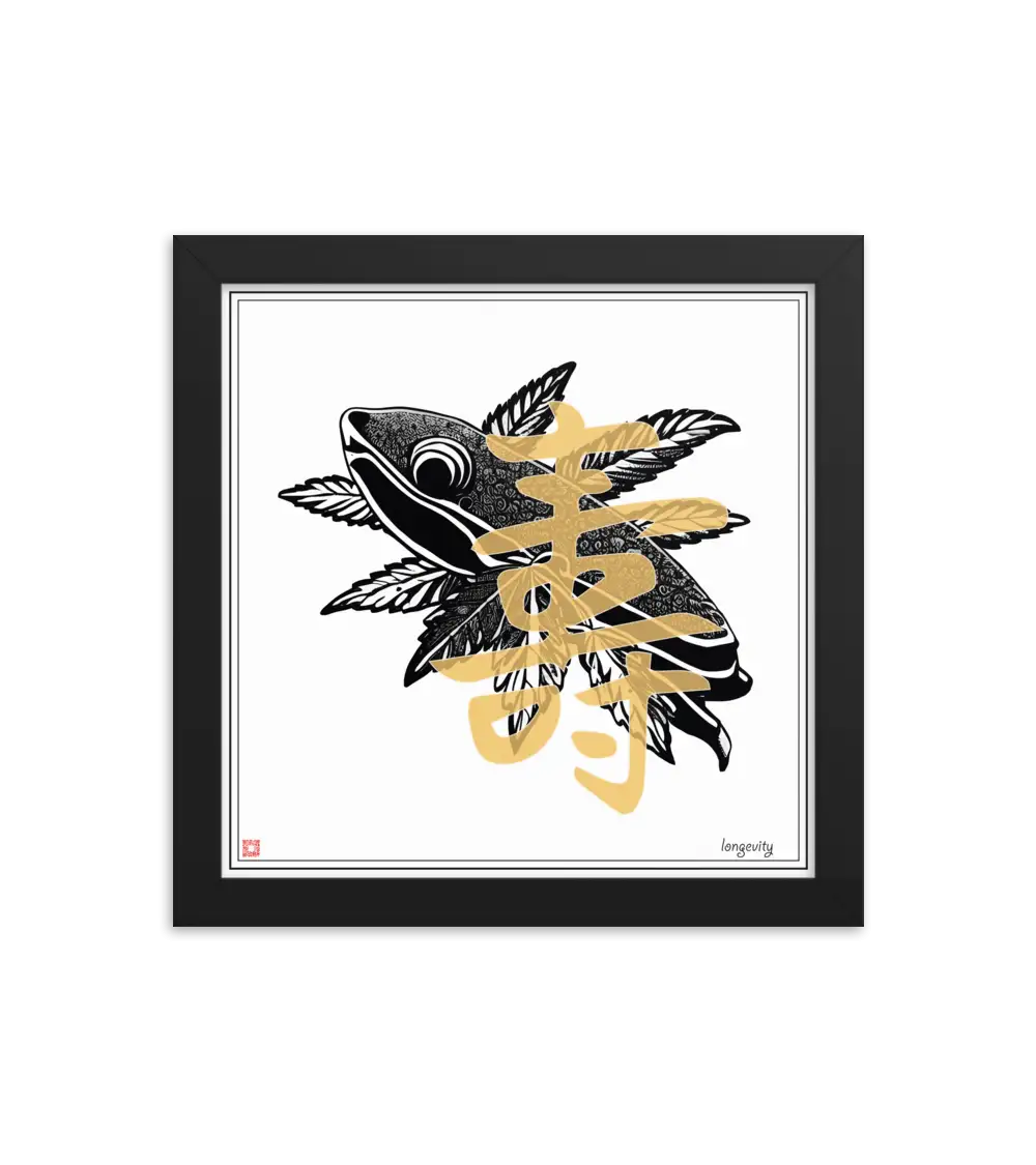 07 MONO FISH - Frame