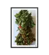 23 LADY KAGIRA Frame