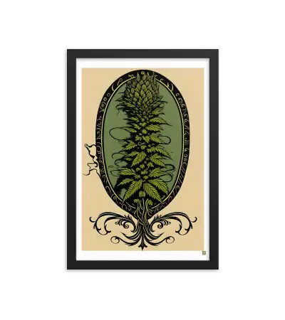 03 HIPPIE PAPER Frame