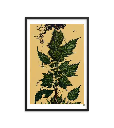 08 HIPPIE PAPER Frame