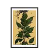 08 HIPPIE PAPER Frame