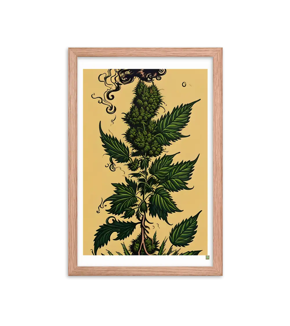 08 HIPPIE PAPER Frame