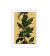 08 HIPPIE PAPER Frame