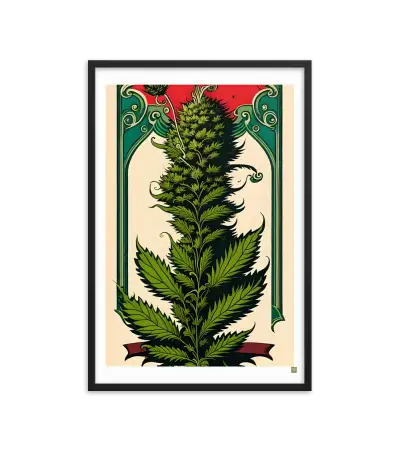 24 HIPPIE PAPER Frame