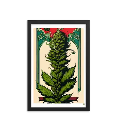 24 HIPPIE PAPER Frame