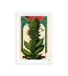 24 HIPPIE PAPER Frame