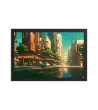 15 CITY DREAM FLAT Frame