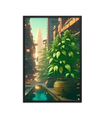 10 CITY BUD HIGH Frame
