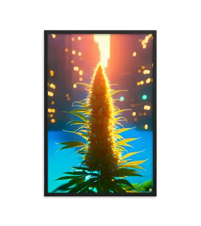 20 CITY BUD HIGH Frame