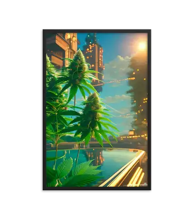 27 CITY BUD HIGH Frame
