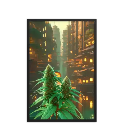 38 CITY BUD HIGH Frame