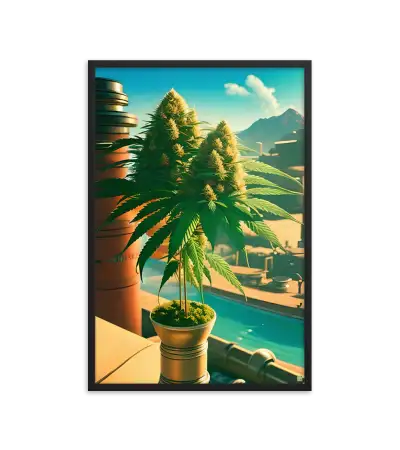 50 CITY BUD HIGH Frame