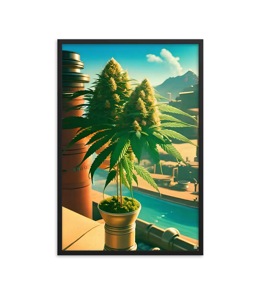 50 CITY BUD HIGH Frame
