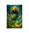 13 BI HEMP FISH Photo Poster