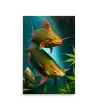 17 BI HEMP FISH Photo Poster