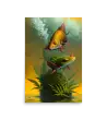 25 BI HEMP FISH Photo Poster