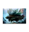 16 FIRE FISH Poster