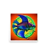 05 COLOR FISH Photo Poster