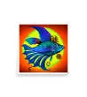 04 COLOR FISH Photo Poster