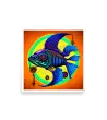 11 COLOR FISH Photo Poster