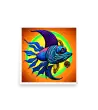 10 COLOR FISH Photo Poster
