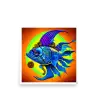 08 COLOR FISH Photo Poster