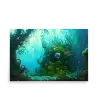 01 WATER MONSTER MYSTERIOUS Poster