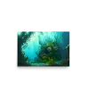 01 WATER MONSTER MYSTERIOUS Poster