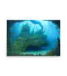 14 WATER HOUSE MONSTER Poster