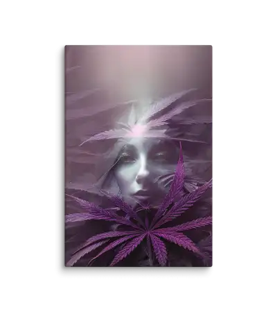 Maria Juana 10 Viola Canvas