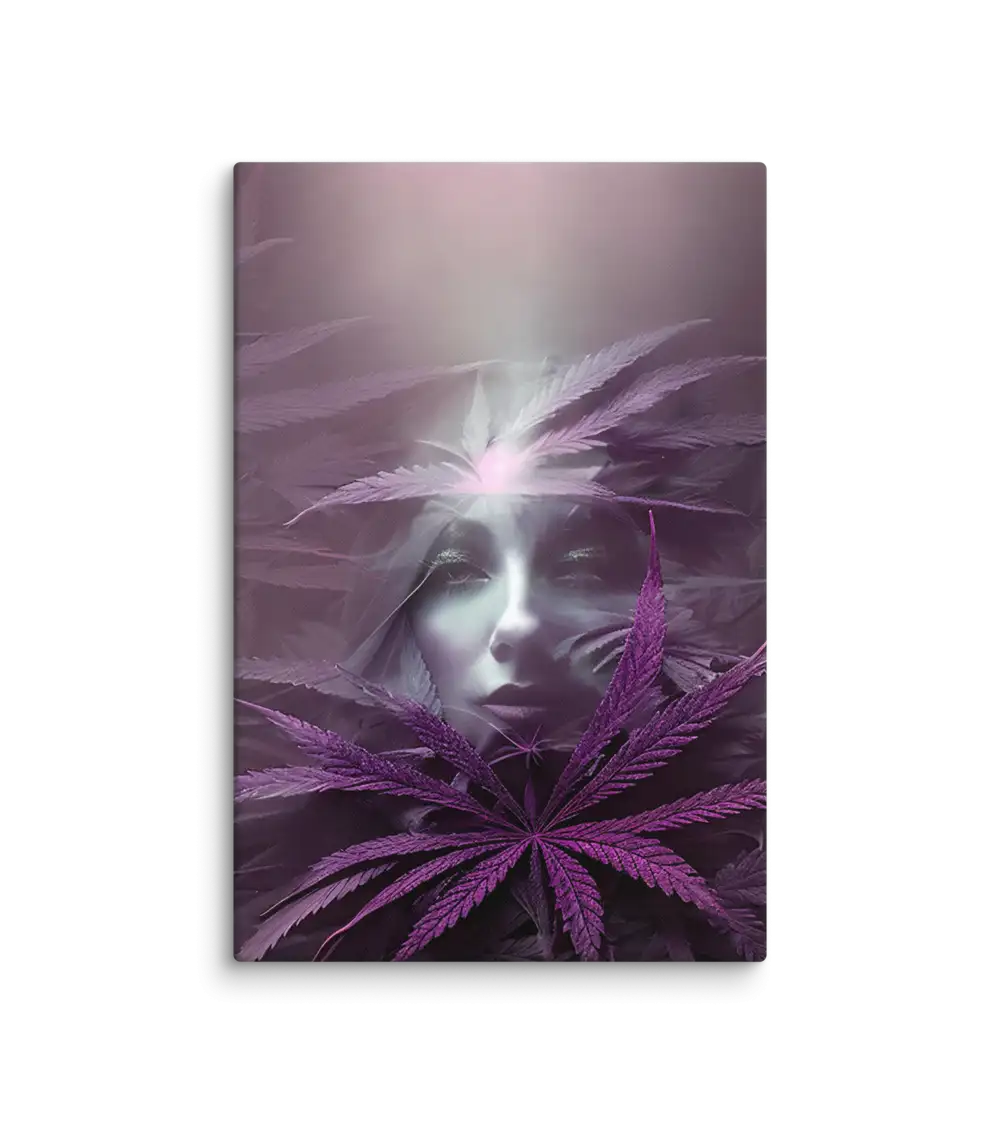 Maria Juana 10 Viola Canvas