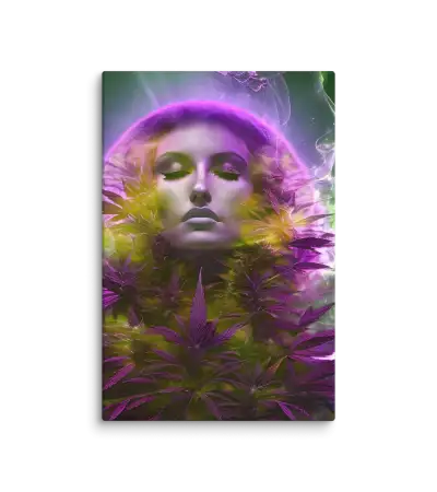 Maria Juana 01 Viola Canvas