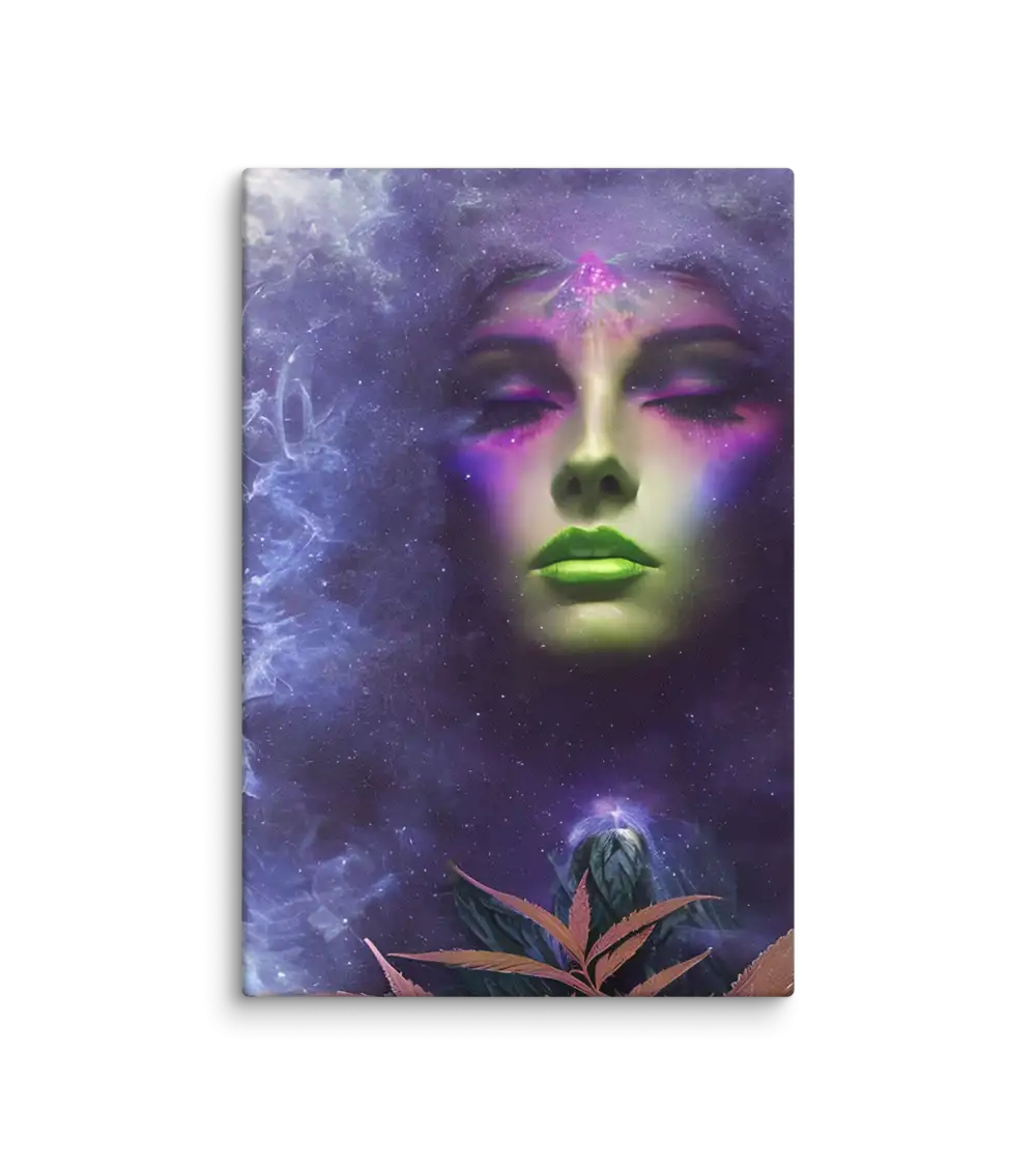 Maria Juana 13 Viola Canvas