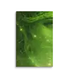 Maria Juana 17 Green Canvas
